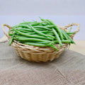 Bean Plant Live 4 Inch Pot, Starter Bean Plant for Garden, Compact Vegetable Plant for Raised Beds, Patio Containers or Outdoor Growing, 3-6 Inches (Bush Bean)