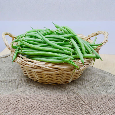 Bean Plant Live 4 Inch Pot, Starter Bean Plant for Garden, Compact Vegetable Plant for Raised Beds, Patio Containers or Outdoor Growing, 3-6 Inches (Bush Bean)