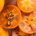 Persimmon Tree Plant Live, Fruit Tree, 1-2 Ft Tall