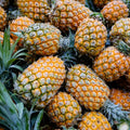 Set of 2 Pineapple Live Plant, Pineapple Gold Fruit Tree Plant, Sweet Fruit, 4-7 Inches Tall for Growing
