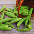 2 Okra Plants Live, Green Okra Live Plant, Vegetable Plants Gardening from 4 Inc in Height