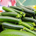 2 Zucchini Plants Live 4'' Pot, Green Squash Vegetable Plant for Garden, Zucchini for Raised Beds, Containers or Outdoor Growing, 2 Plants per Pot