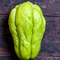 Chayote Squash Plant Live, Chayote Plant, Gallon Pot, Vegetable Plant for Gardening Indoor Outdoor, 7 to 9 Inc Tall