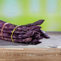 10 Asparagus Bare Roots, Asparagus Crowns for Planting, Hardy Perennial Vegetable Garden Starter Roots (Purple Asparagus)