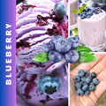Blueberry Plants Live for Planting, Northern Blueberries Bush in 4 Inches Pot, Starter Plant from 4 to 7 Inches Height for Edible Garden