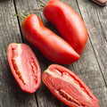 Tomato Plant Live 4 Inch Pot, Small Fruit Tomato Plant for Raised Beds, Patio Containers or Outdoor Growing, 4-6 Inches (San Marzano Tomato)