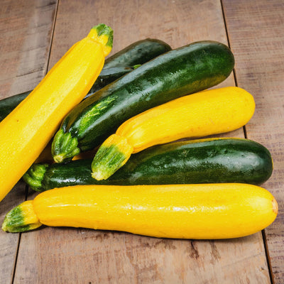 2 Green Zucchini Squash Live Plants, Squash Vegetable Plants Live for Home Garden Plant, from 4'' in Height