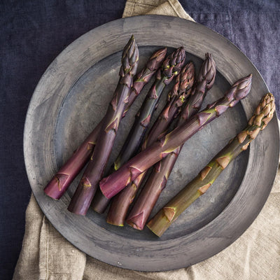 10 Asparagus Bare Roots, Asparagus Crowns for Planting, Hardy Perennial Vegetable Garden Starter Roots (Purple Asparagus)