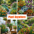 Set 3 Flower Plants Live, Assorted Milkweed, Plumbago, Buddleia, Lantana Plants Live, 4-6'' Long, Vibrant Flower Garden Collection