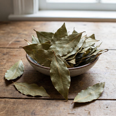 Bay Leaf Laurel Trees, Sweet Bay Leaf Plants, Laurus Nobilis Indoor Outdoor Planting 8-10 Inches
