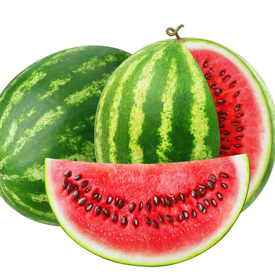 2 Watermelon Plants Live, Sweet Fruit Plant, 4 to 6 Inc Tall, Live Watermelon Plant Pot