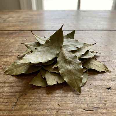Bay Leaf Tree Live Plant, 1 Year Old Sweet Bay Laurel Laurus Nobilis Tree 8 to 10 Inches, Indoor Outdoor Planting