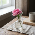Pink Mini Rose Plant Live in 4 Inch Pot, Miniature Rose Flower Plant for Indoor Outdoor Garden, Patio and Home Decor, 4-6 Inches