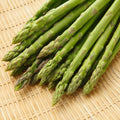 10 Asparagus Bare Roots, Asparagus Crowns for Planting, Hardy Perennial Vegetable Garden Starter Roots (Green Asparagus)