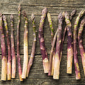 10 Asparagus Bare Roots, Asparagus Crowns for Planting, Hardy Perennial Vegetable Garden Starter Roots (Purple Asparagus)