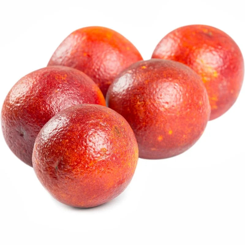 Blood Orange Tree 2 to 3 Feet Tall - Potted Citrus Plant