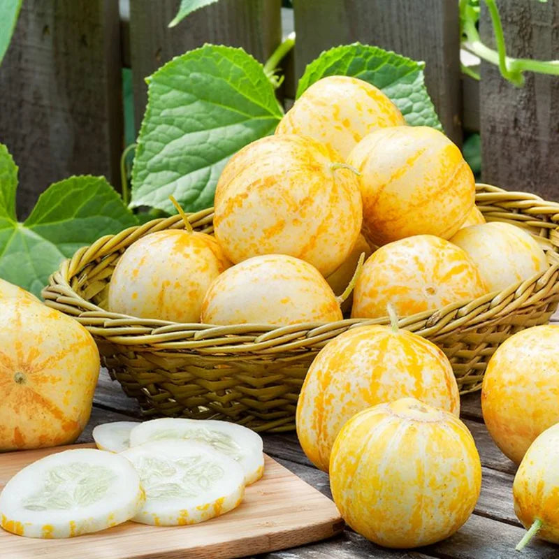 Cucumber Seeds for Planting - Vegetable Seeds - 100 Seeds - Garden Seed