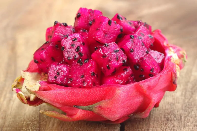 Dragon Fruit Plant Live - Red Dragon Fruit Plant in 3 Gallon Pot, 2-3 Feet Tall