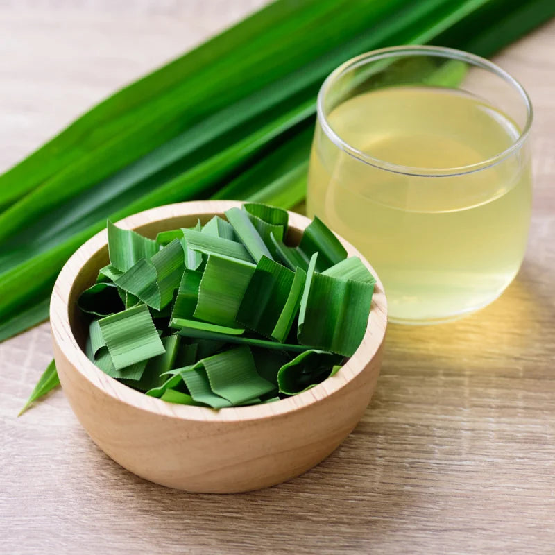 Fragrant Pandan Plant Live Herb - 4 to 6 Inch Starter Plant for Gardens