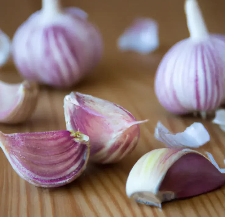 Garlic Bulbs for Planting - Hard Neck Variety - Pack of 4