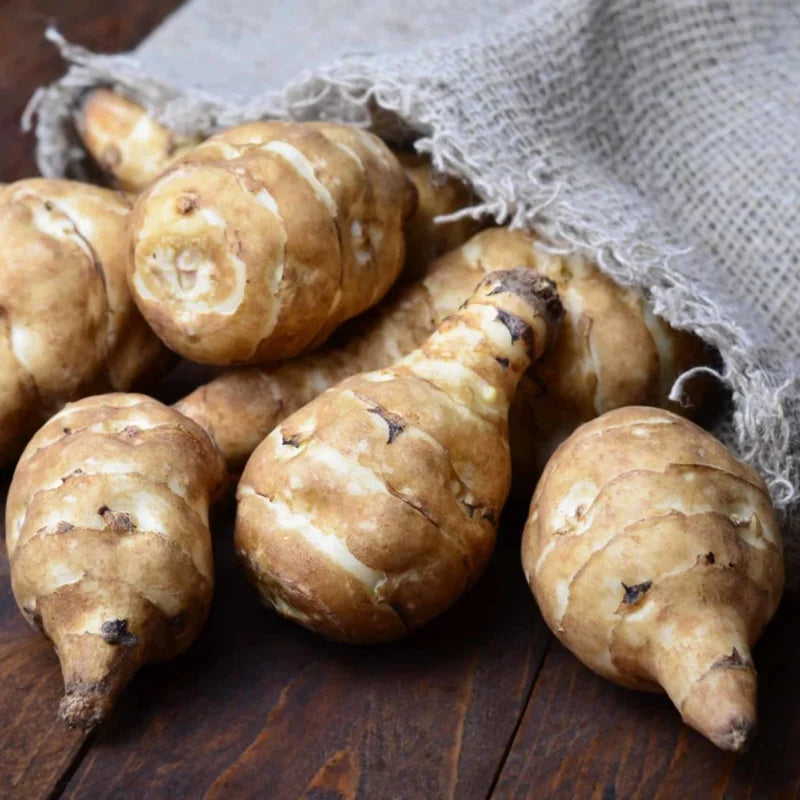 3Pcs Jerusalem Artichokes For Planting, Jerusalem Artichokes Tubers, 2-5" Inches, Sunchoke Sunroot Artichokes Roots
