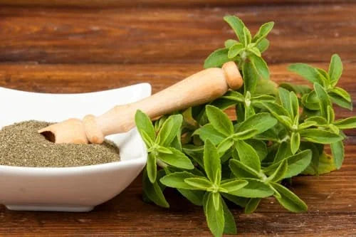 Live Stevia Plant 2-Pack - Sweetleaf Stevia in 4 Inch Pot - Garden Ready Seedlings