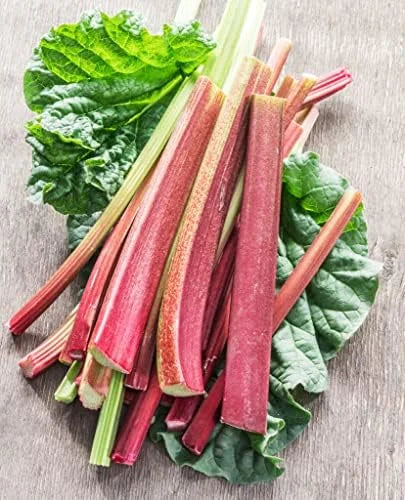 Rhubarb Plants: 5 Live Heirloom Roots for Planting