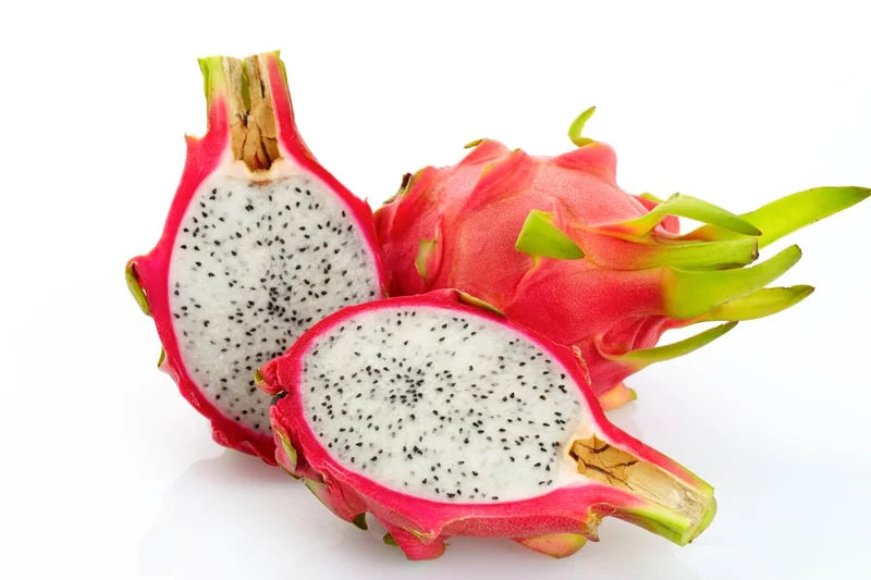 White Dragon Fruit Plant Live - 4-6 Inch Pitaya Plant Indoor