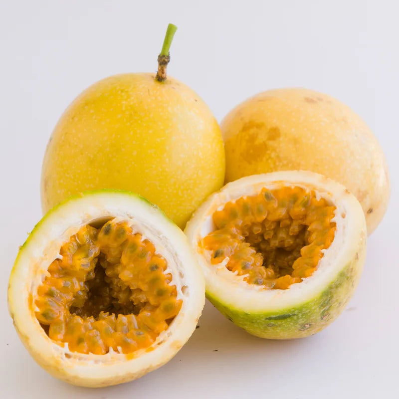 Yellow Passion Fruit Live Plant - Fruit Vine Starter Plant - 5-7 Inch - Garden Ready