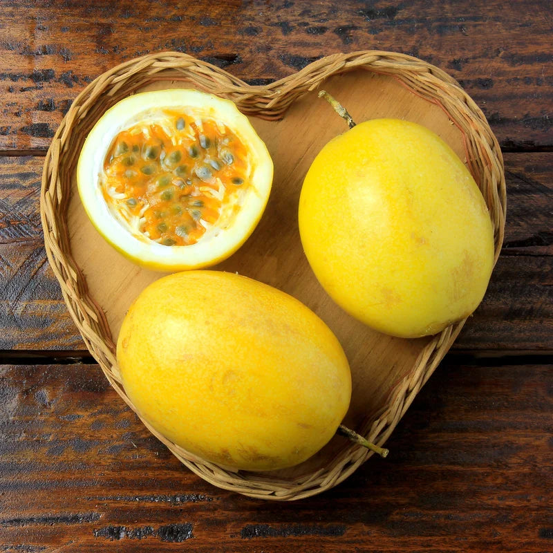 Yellow Passion Fruit Plant - 4-6 Inch Starter Vine, Tropical