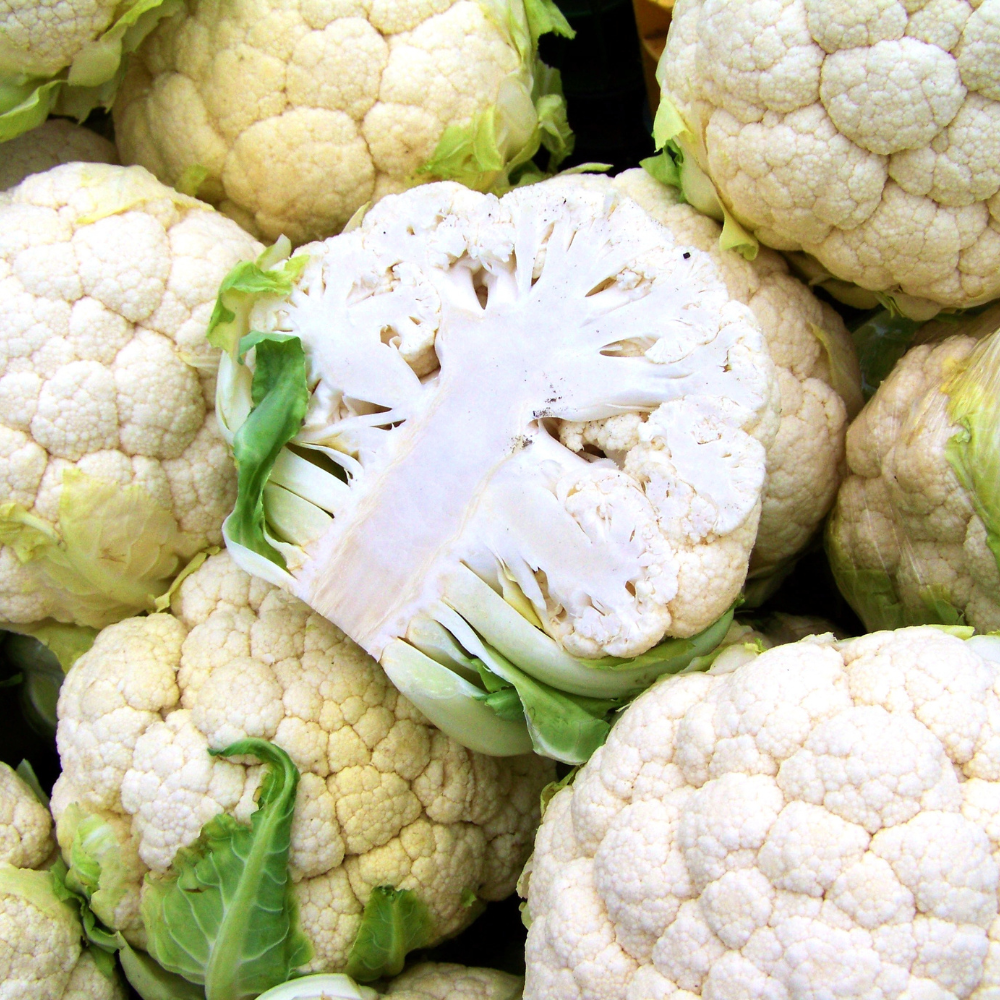 Cauliflower Plants - Live Vegetable Plants - Garden Ready - Set of 3