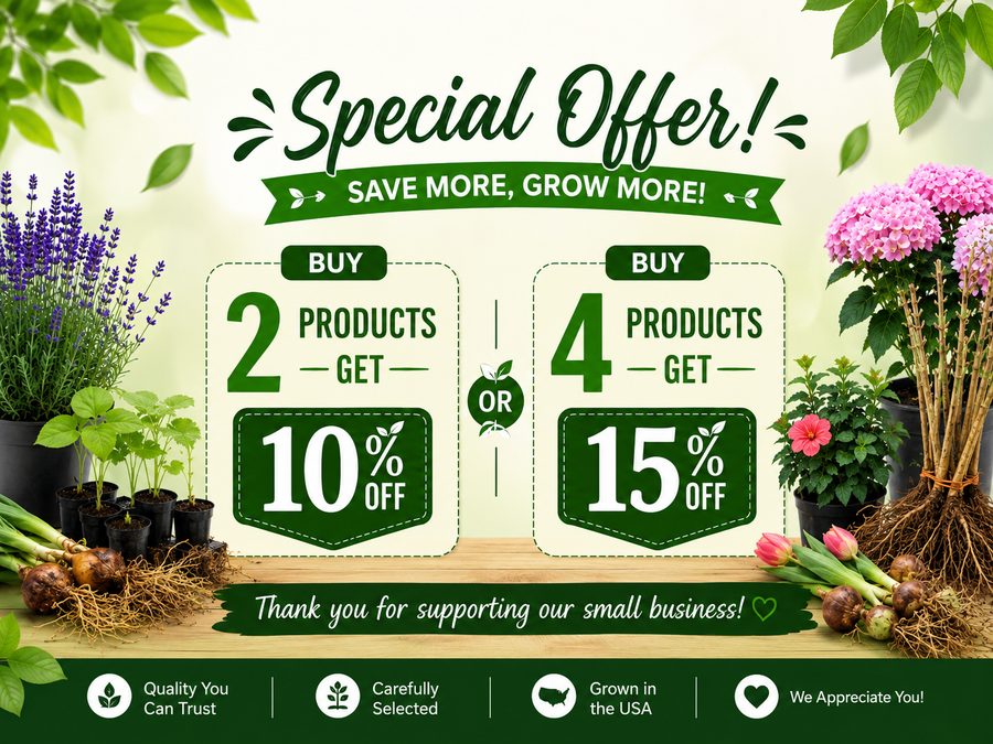 Bring Nature Home With Gardenia